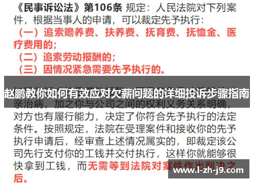 赵鹏教你如何有效应对欠薪问题的详细投诉步骤指南